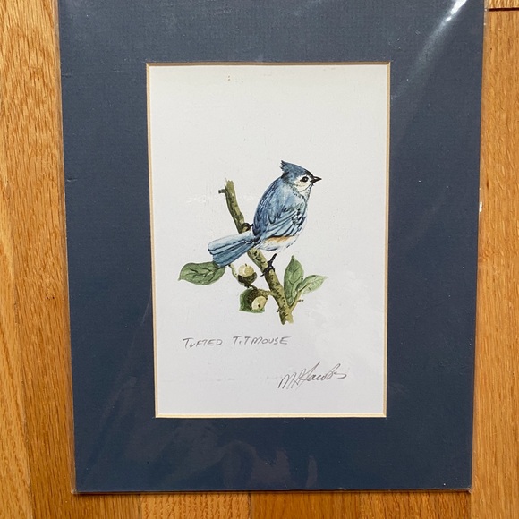 Tufted Titmouse watercolor print - Picture 5 of 5